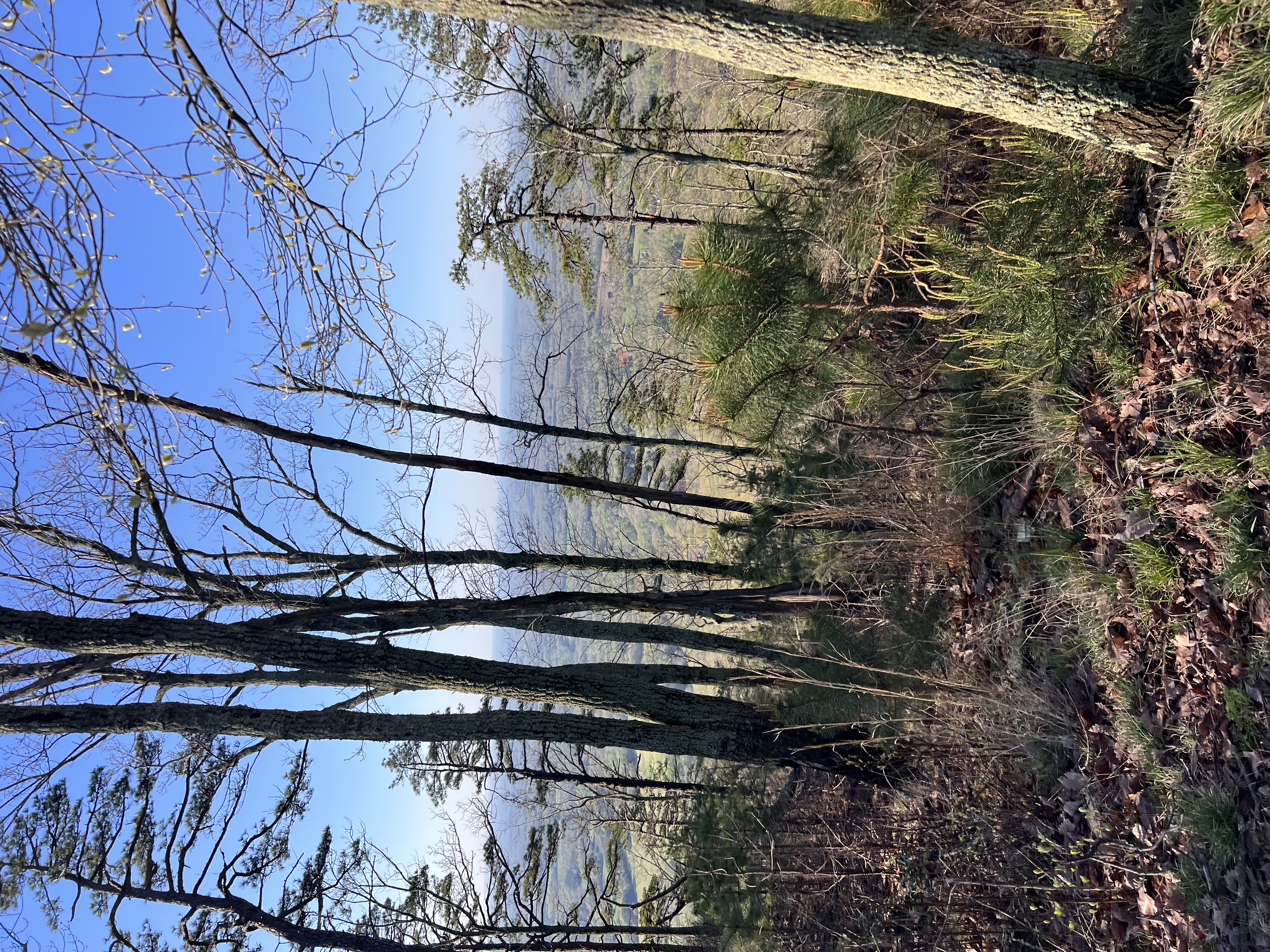 ./2023/05 - Toni Adventures/IMG_2928.JPG